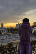 Amethyst Hoodie